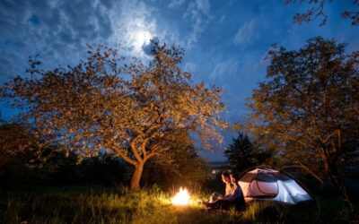 romantic-couple-tourists-sitting-at-a-campfire-nea-2025-01-16-22-22-18-utc